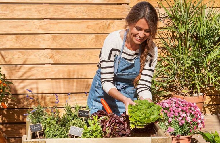 ¡Tips de jardinería al día para una terapia anti estrés!